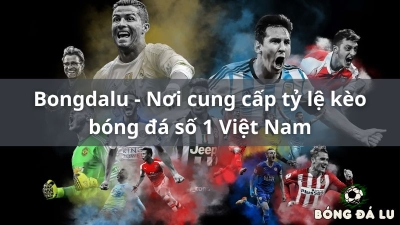 Bong da lu - Đưa tin bóng đá liên tục tại bongdalu-vip.net